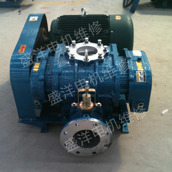 芜湖罗茨风机维修 